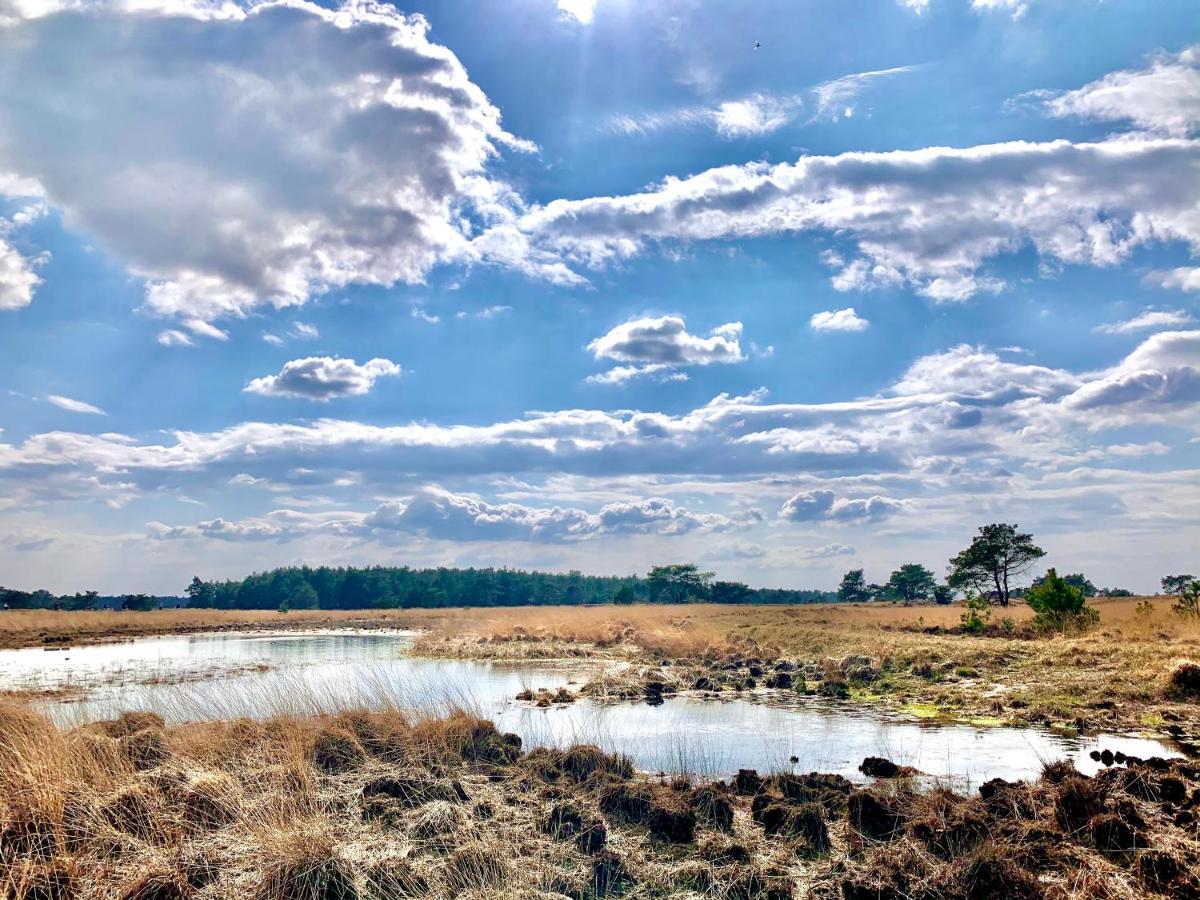 Rode Bosuil: Thuiskomen Op De Veluwe! Otterlo Eksteriør bilde